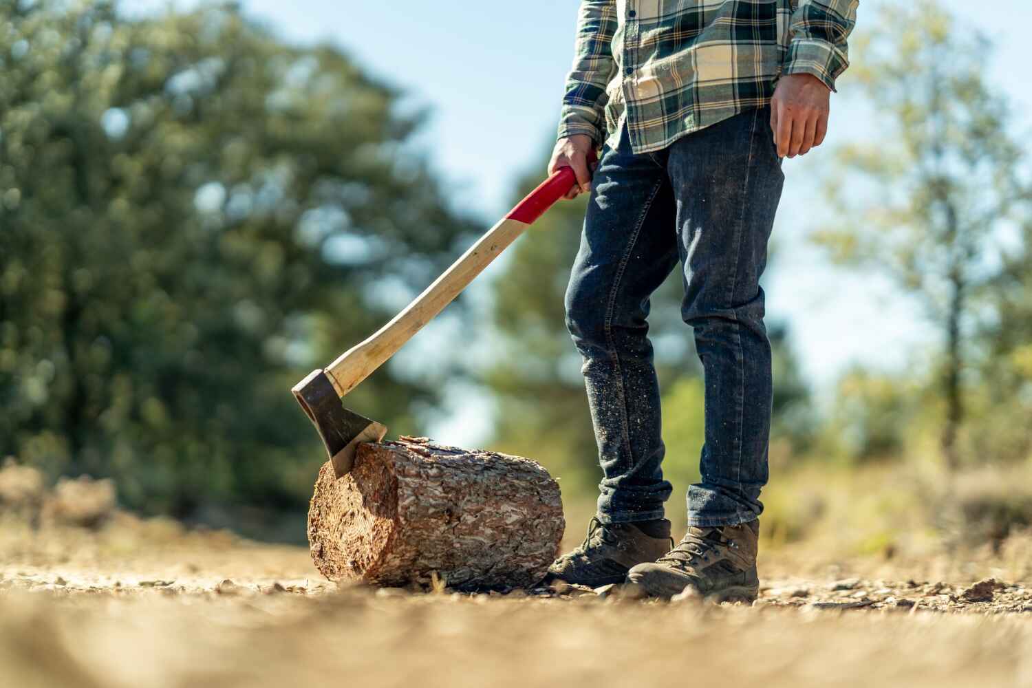 Dead Tree Removal in Clayton, MO